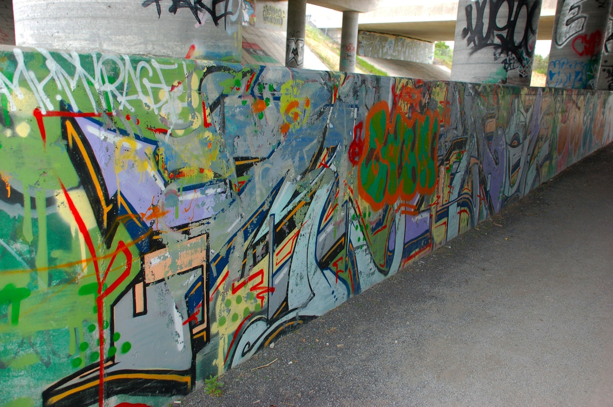 green and multicolored wall art