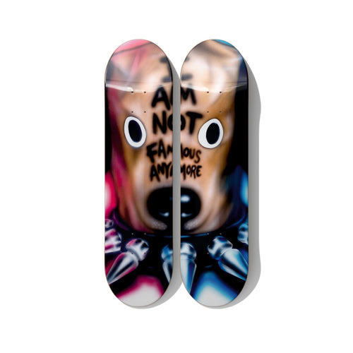 Shy Labeef by Charlotte Hennion skateboard deck diptych wall art on Canadian maple