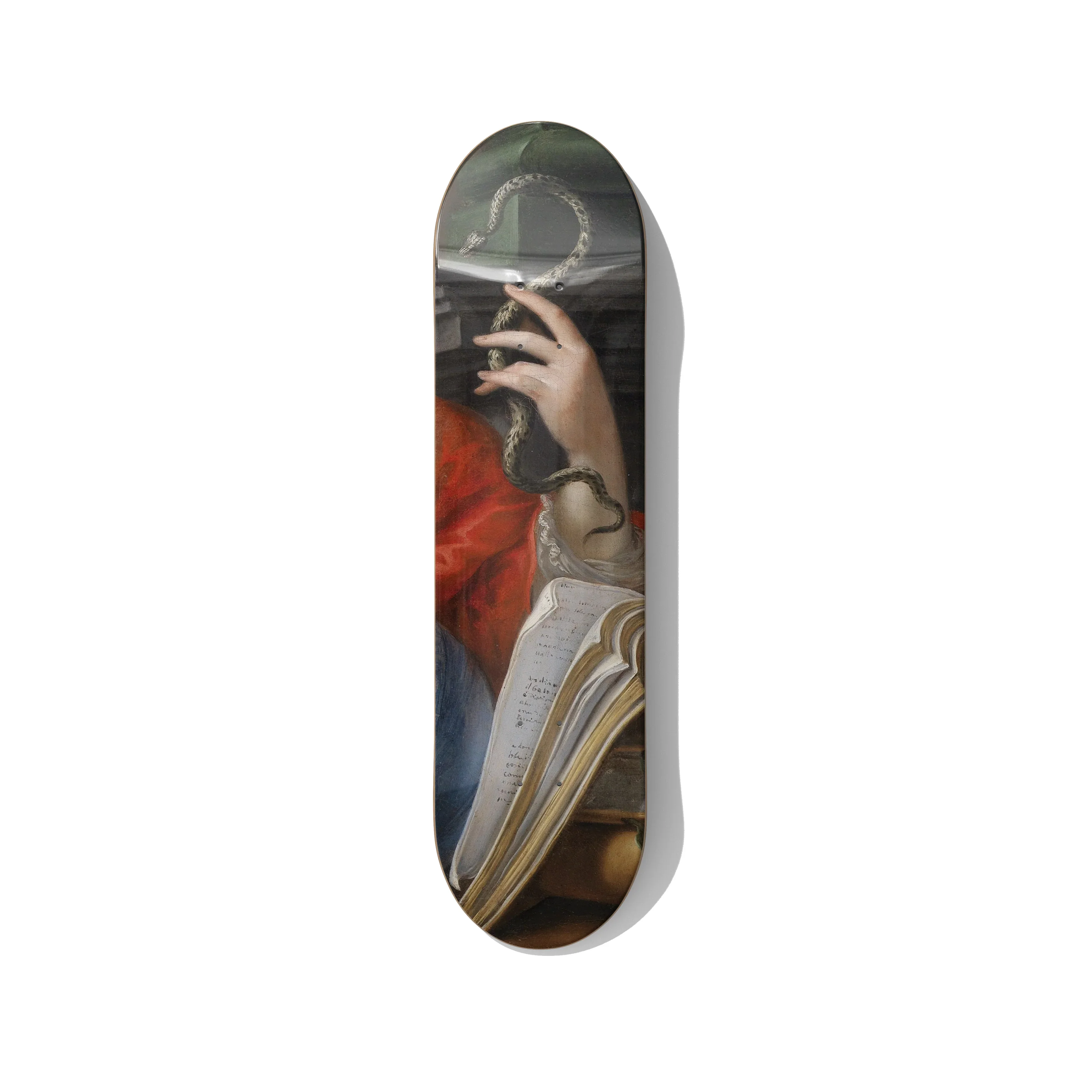 Serpent Scholar Skateboard Deck Wall Art - Premium Canadian Maple.